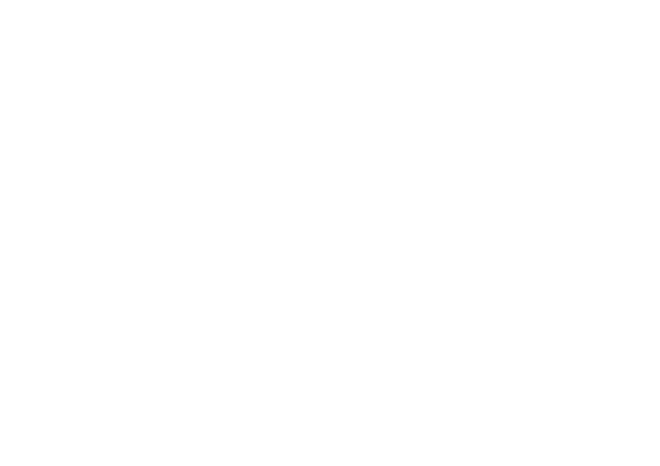 NoBull